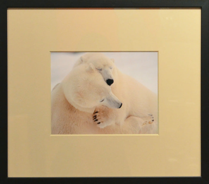Polar Kiss