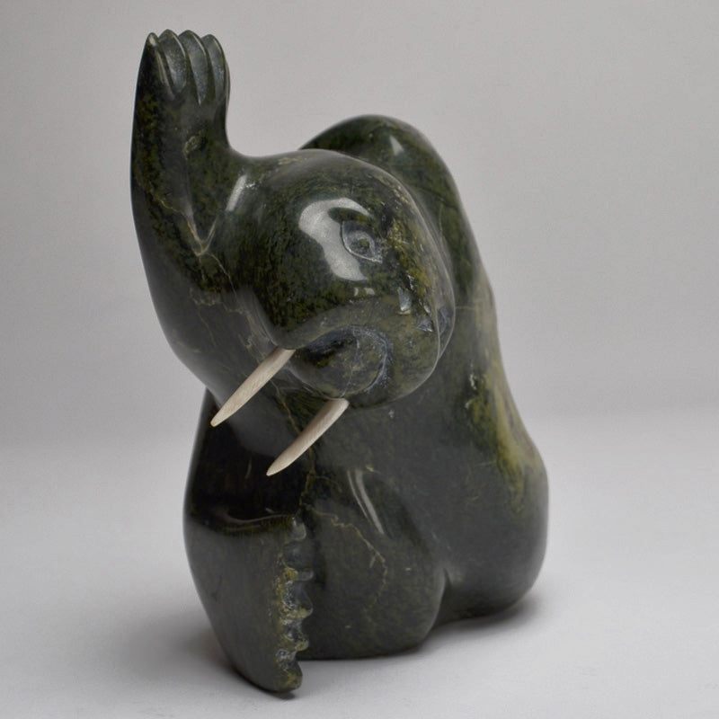 Dancing Walrus