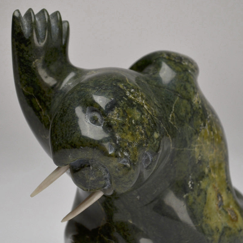 Dancing Walrus