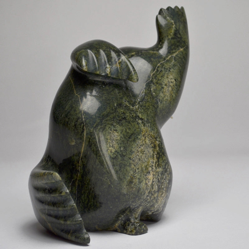 Dancing Walrus