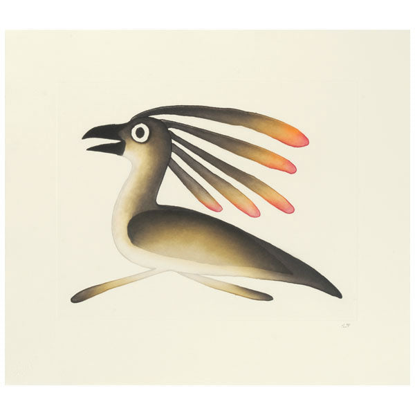 Dashing Bird