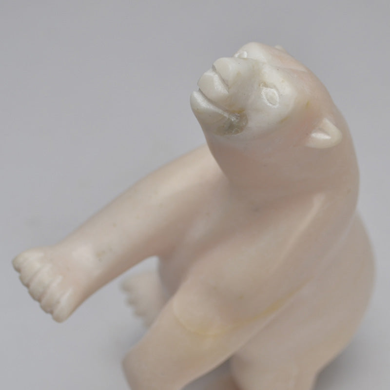 Dancing Bear