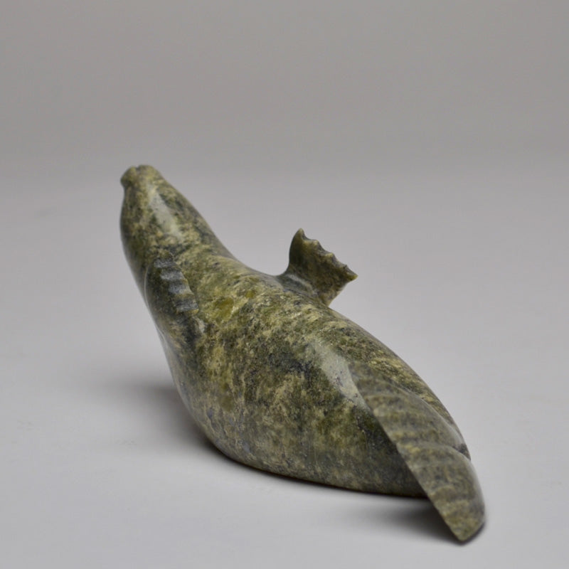 Seal