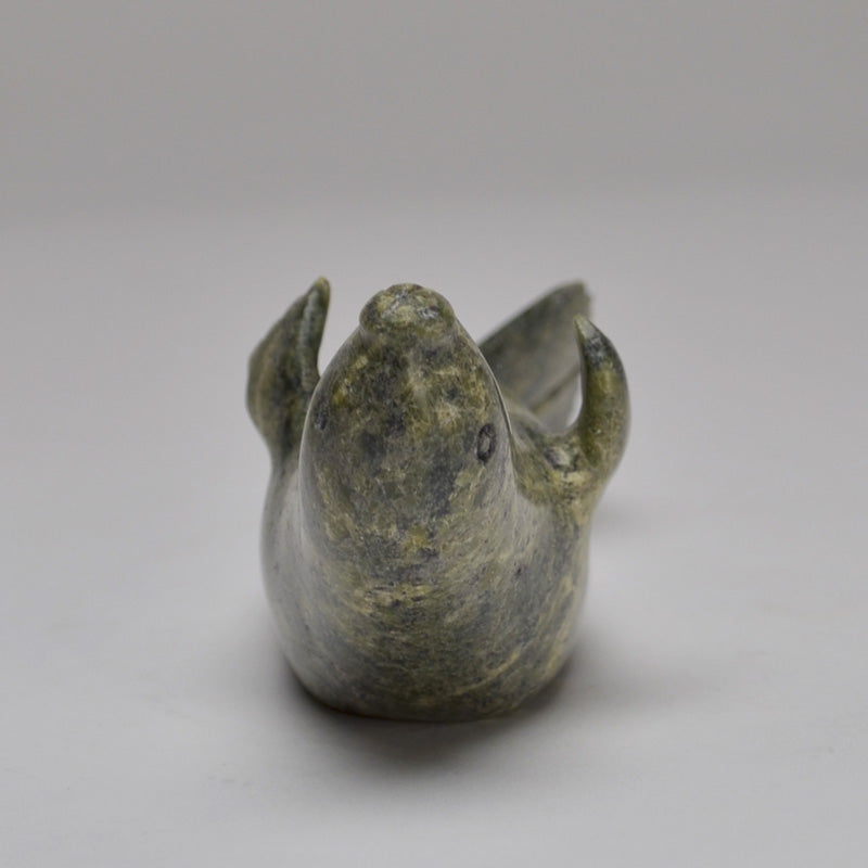 Seal