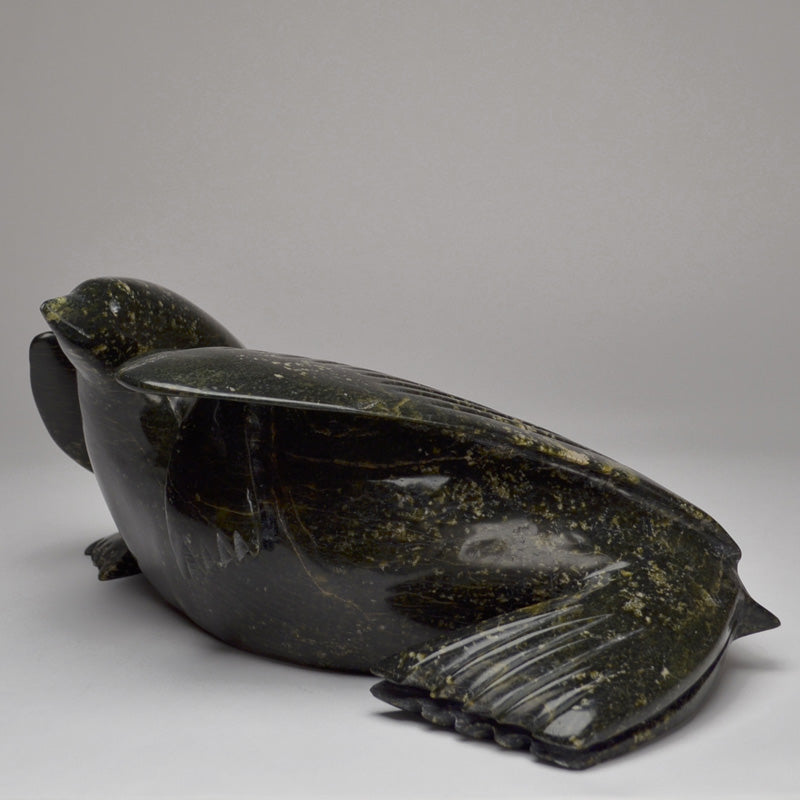 Bird Spirit