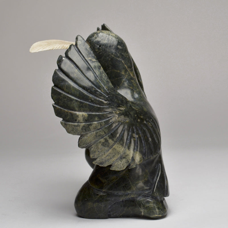 Shaman Bird
