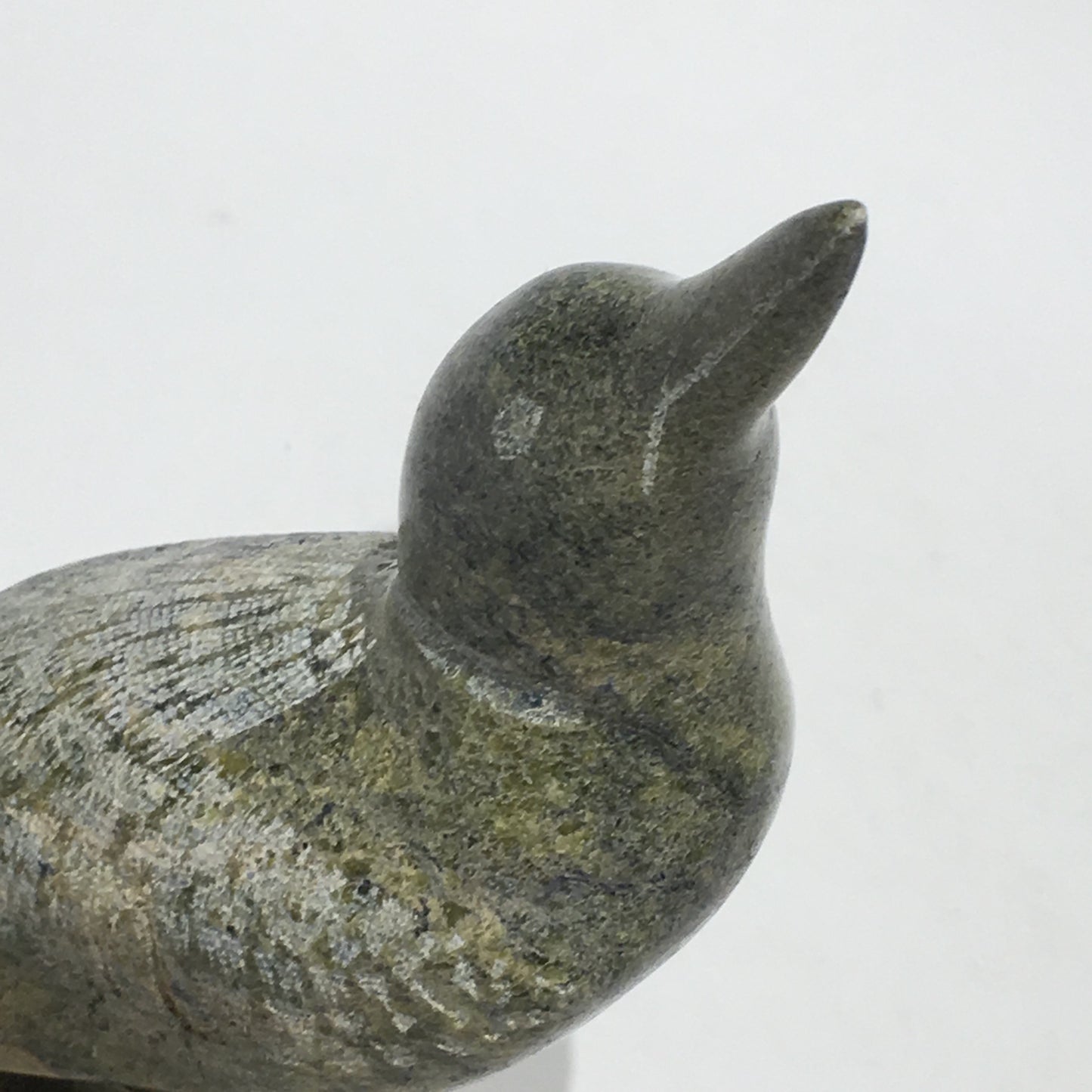 Loon
