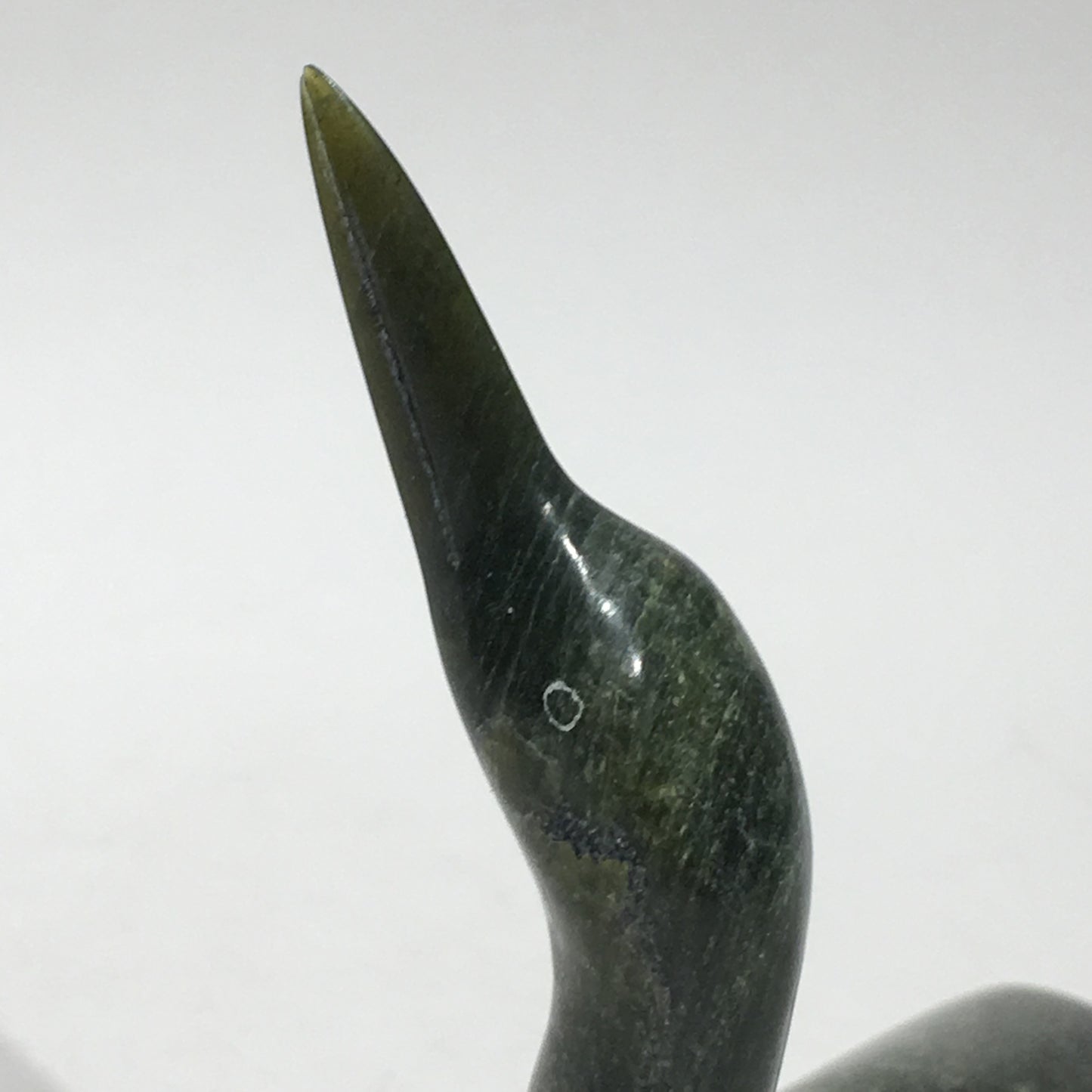 Loon