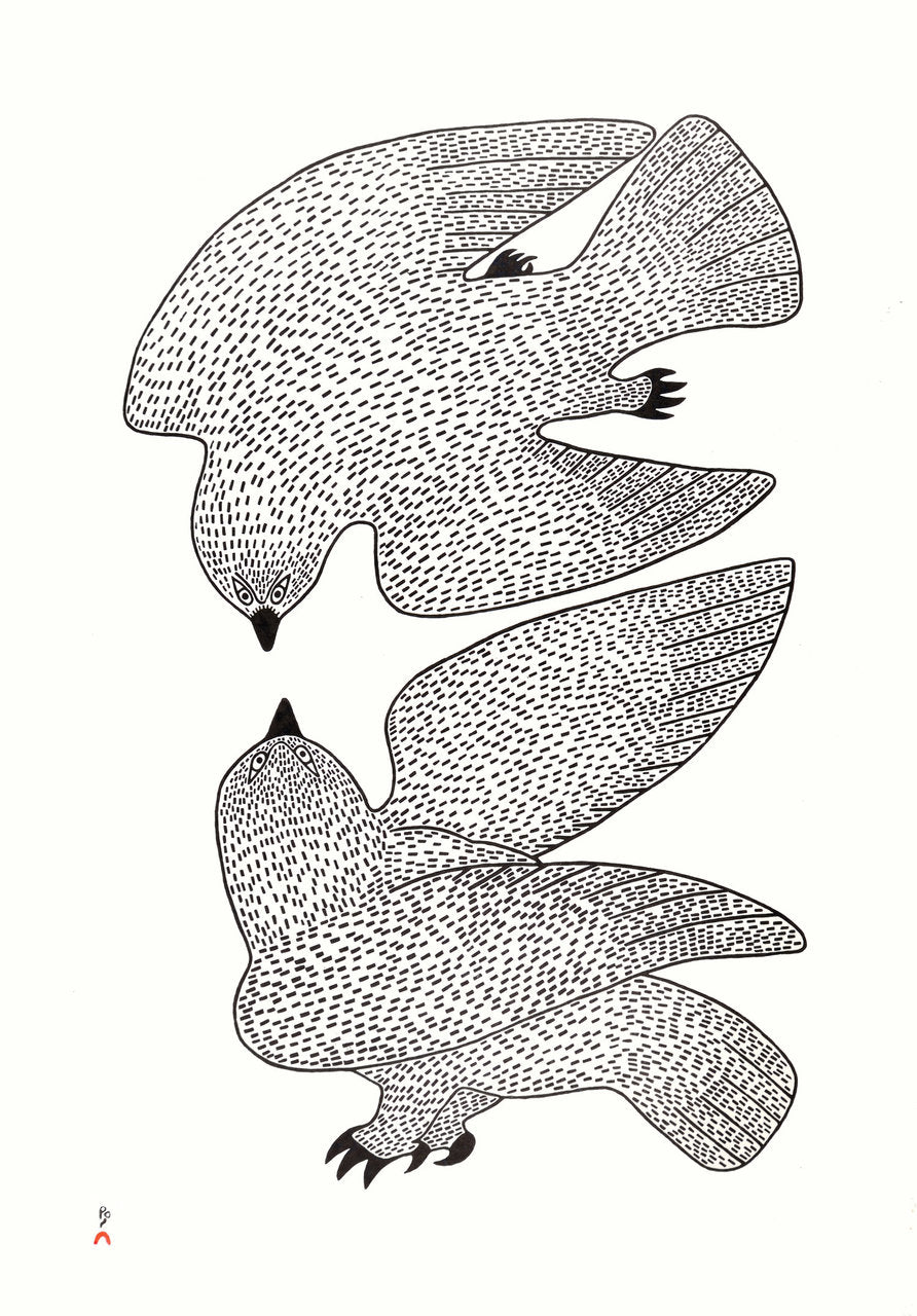 Sparring Owls