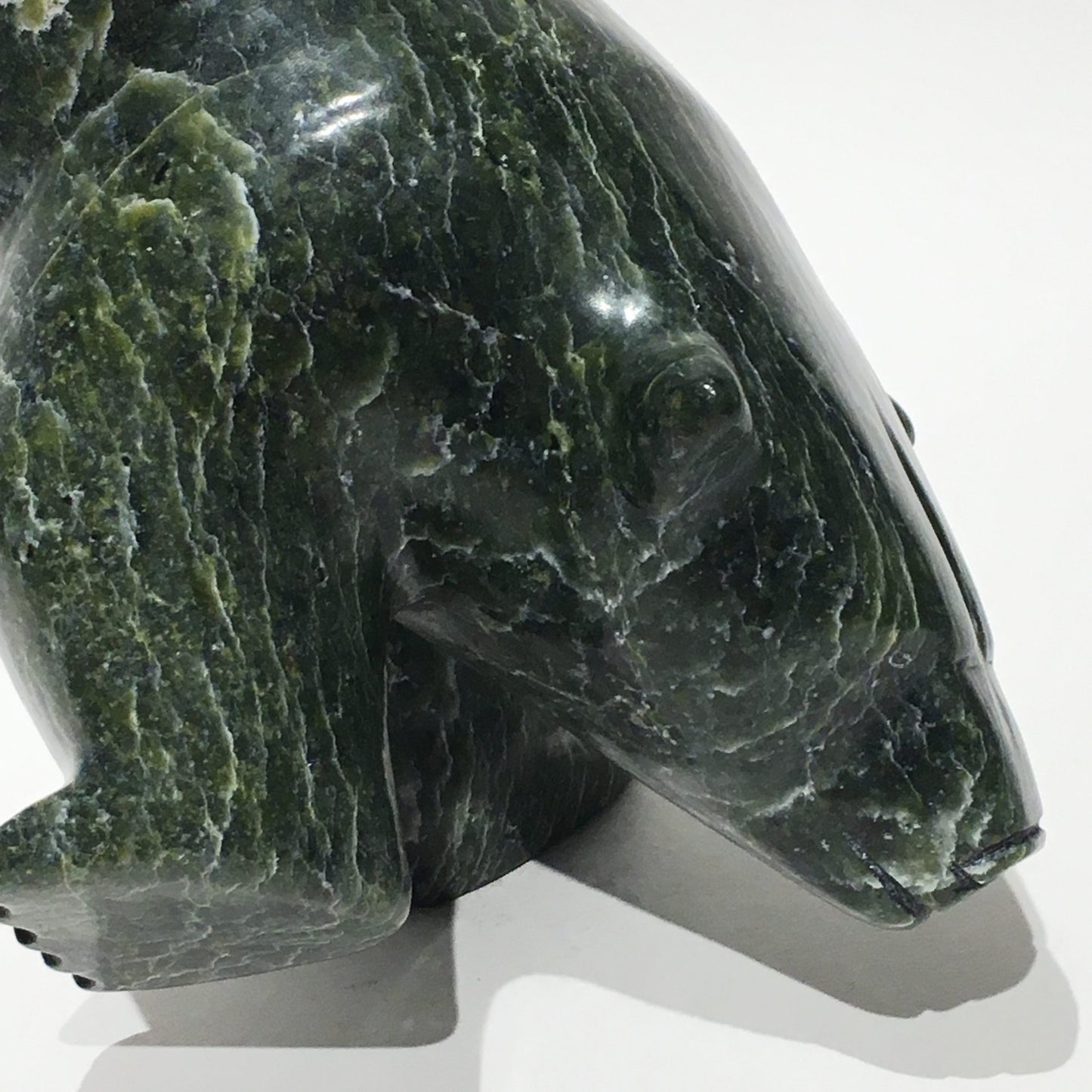 Dancing Bear, two poses