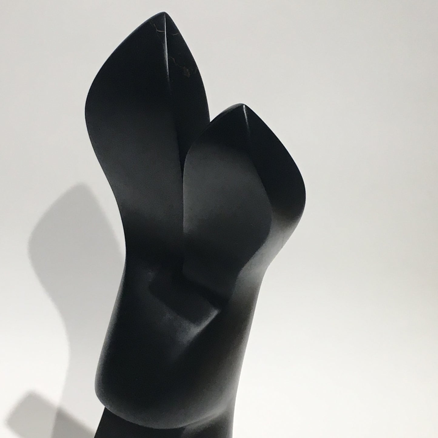 The Curious Turning Rabbit