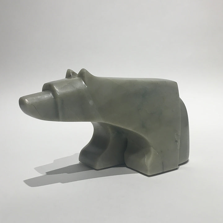 The Curious Bear