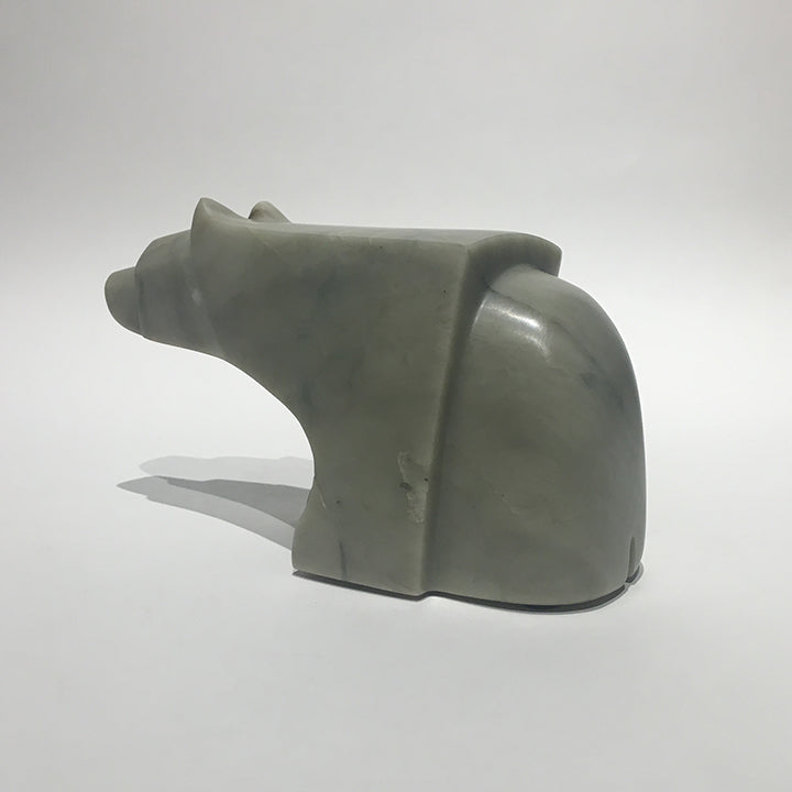 The Curious Bear