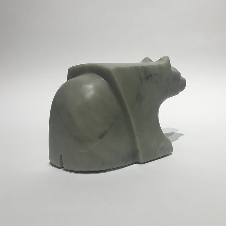 The Curious Bear