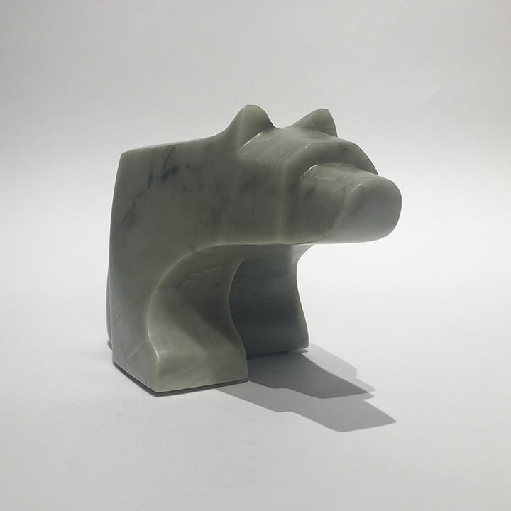 The Curious Bear