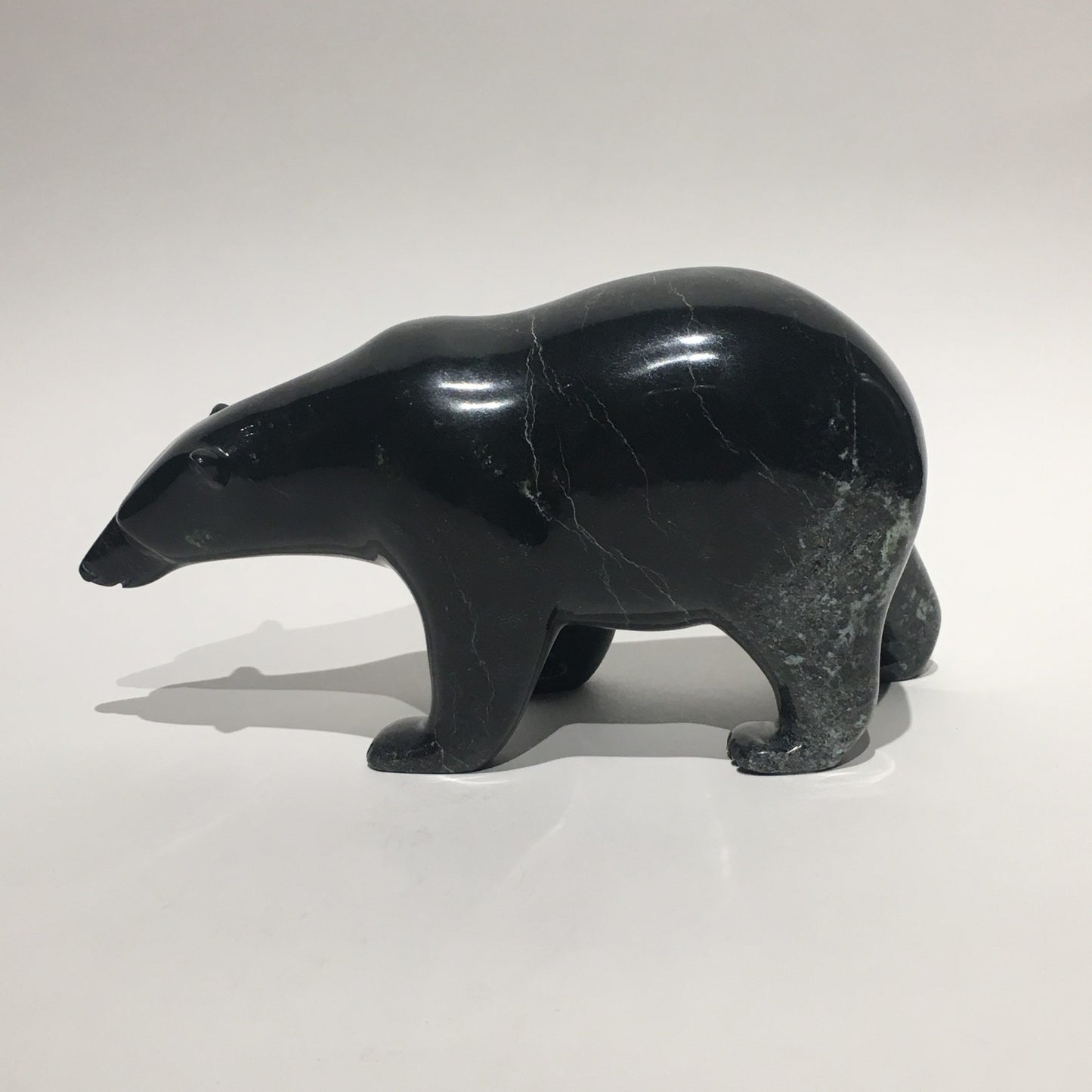 Polar Bear