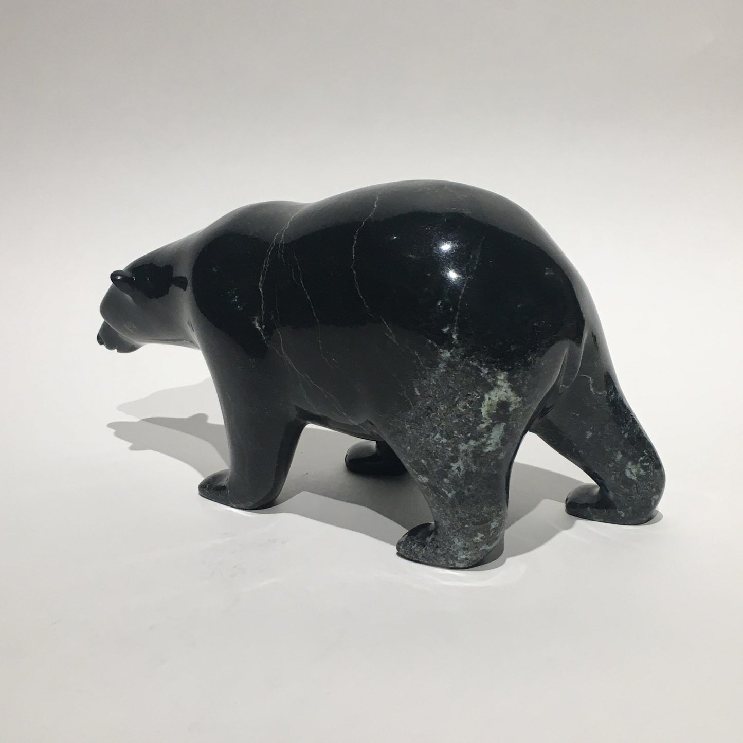 Polar Bear