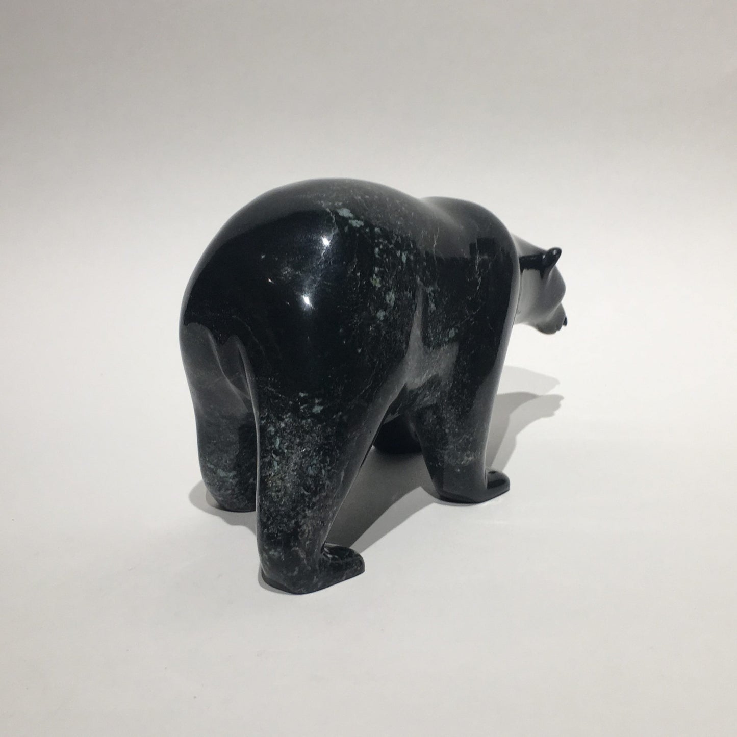 Polar Bear
