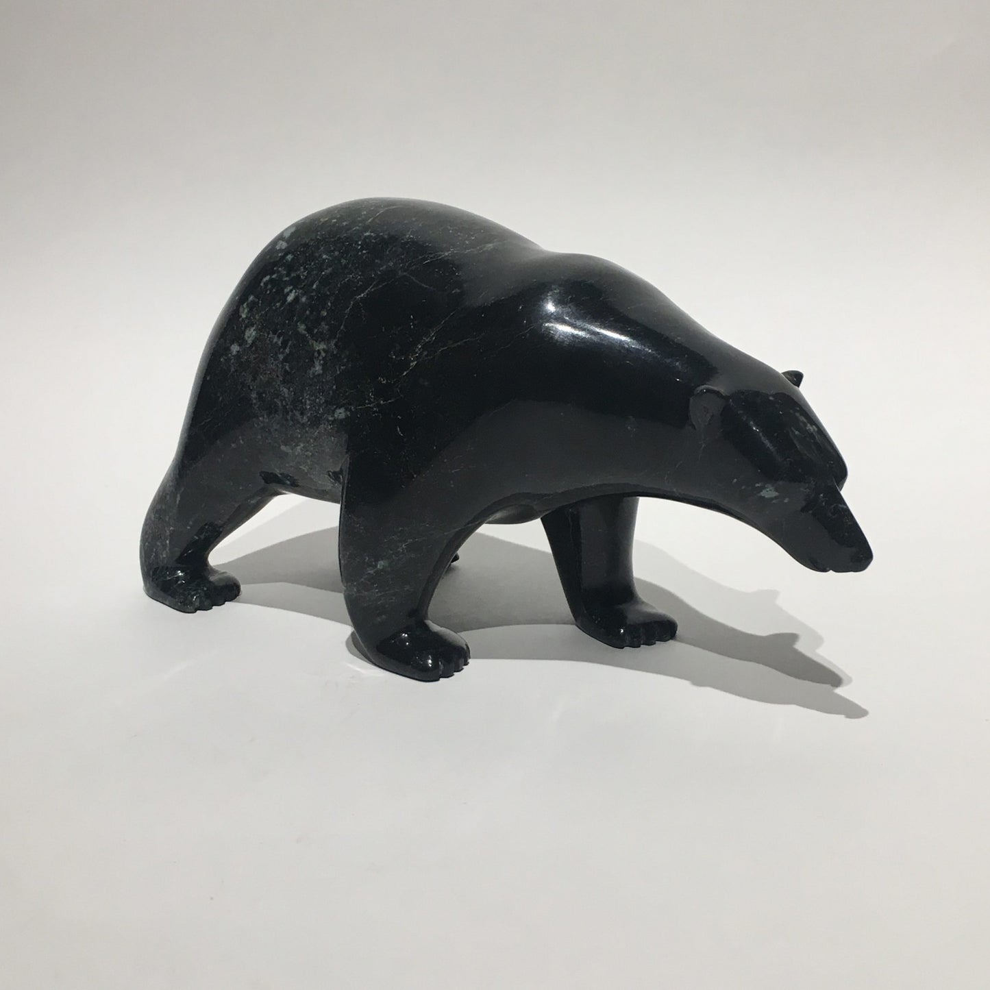 Polar Bear