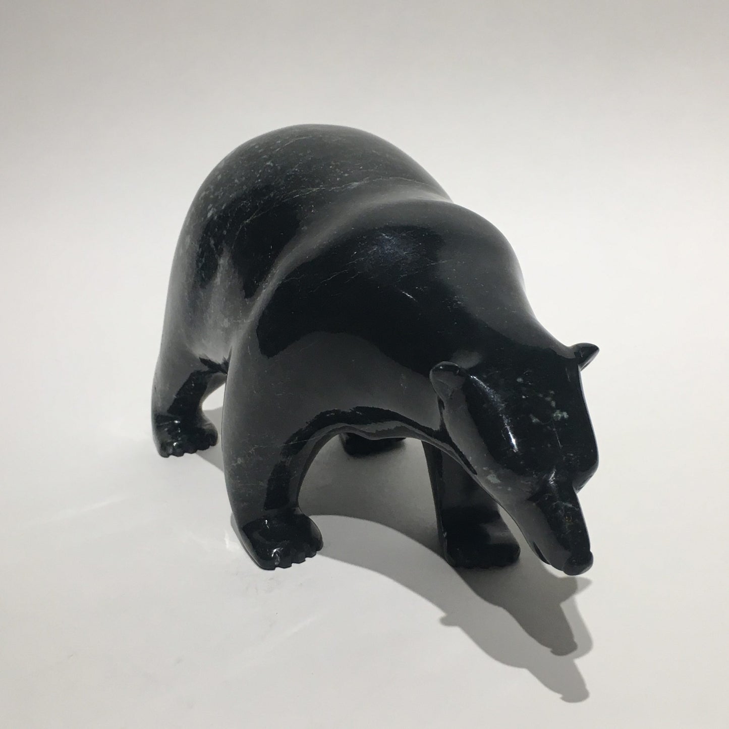 Polar Bear