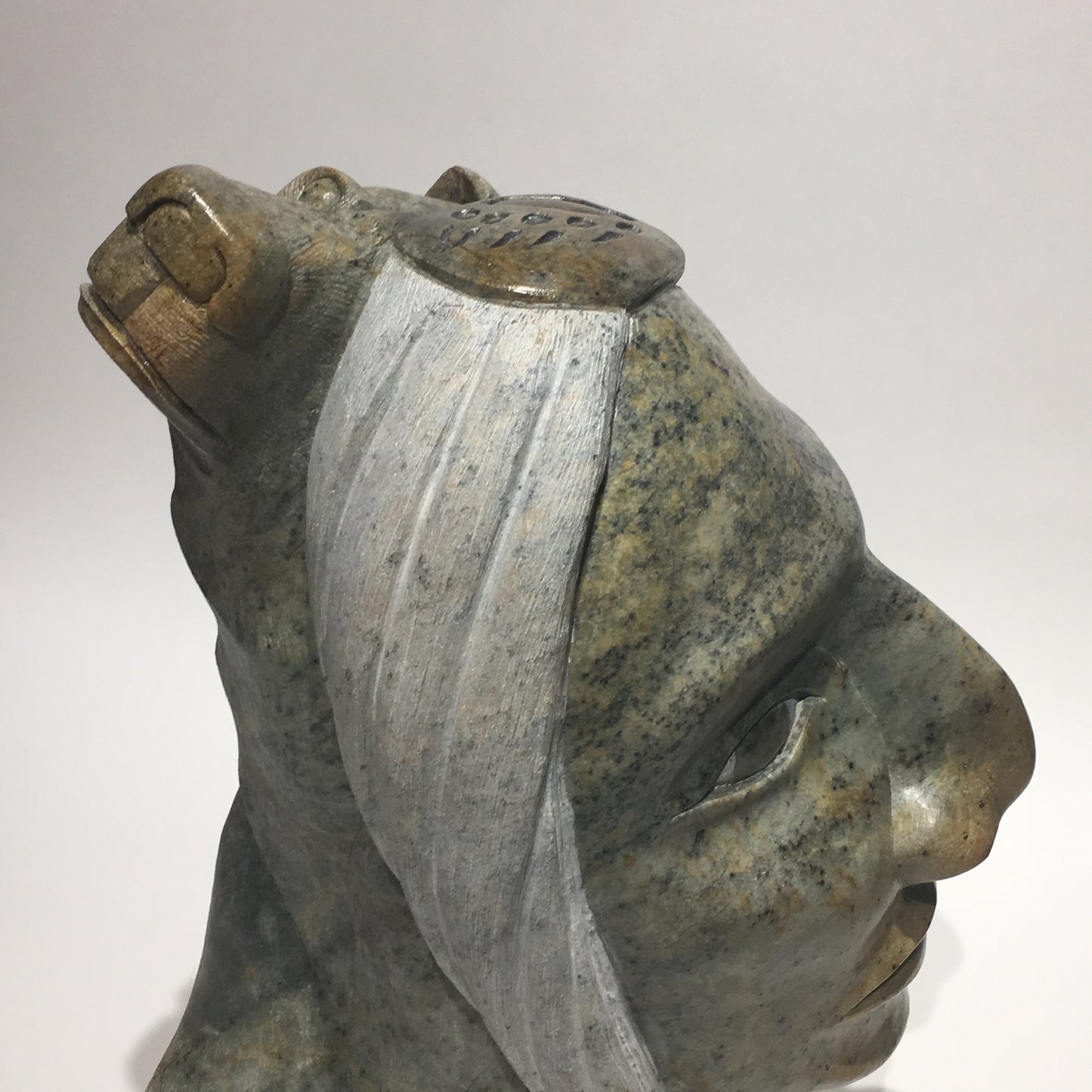 Warrior and his Bear Protector