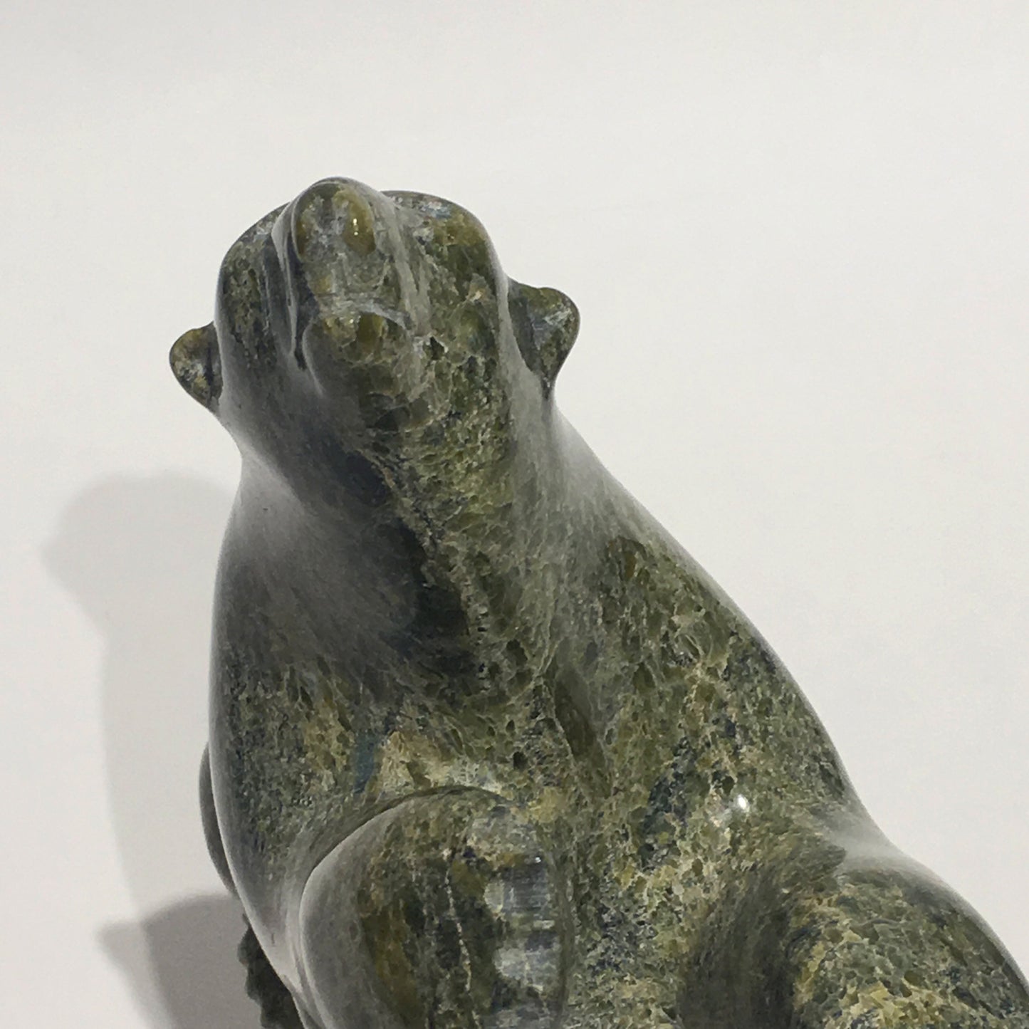 Dancing Bear