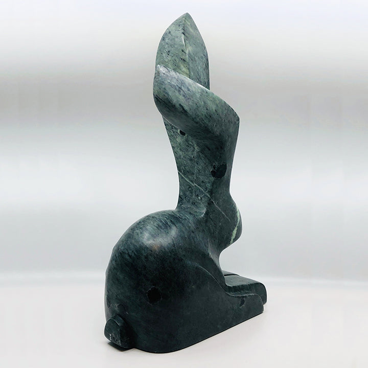 The Mother Rabbit Rests