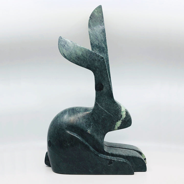 The Mother Rabbit Rests