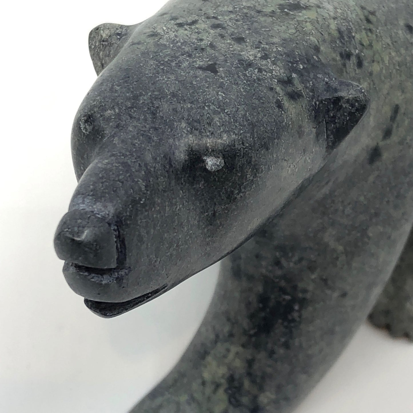 Walking Bear
