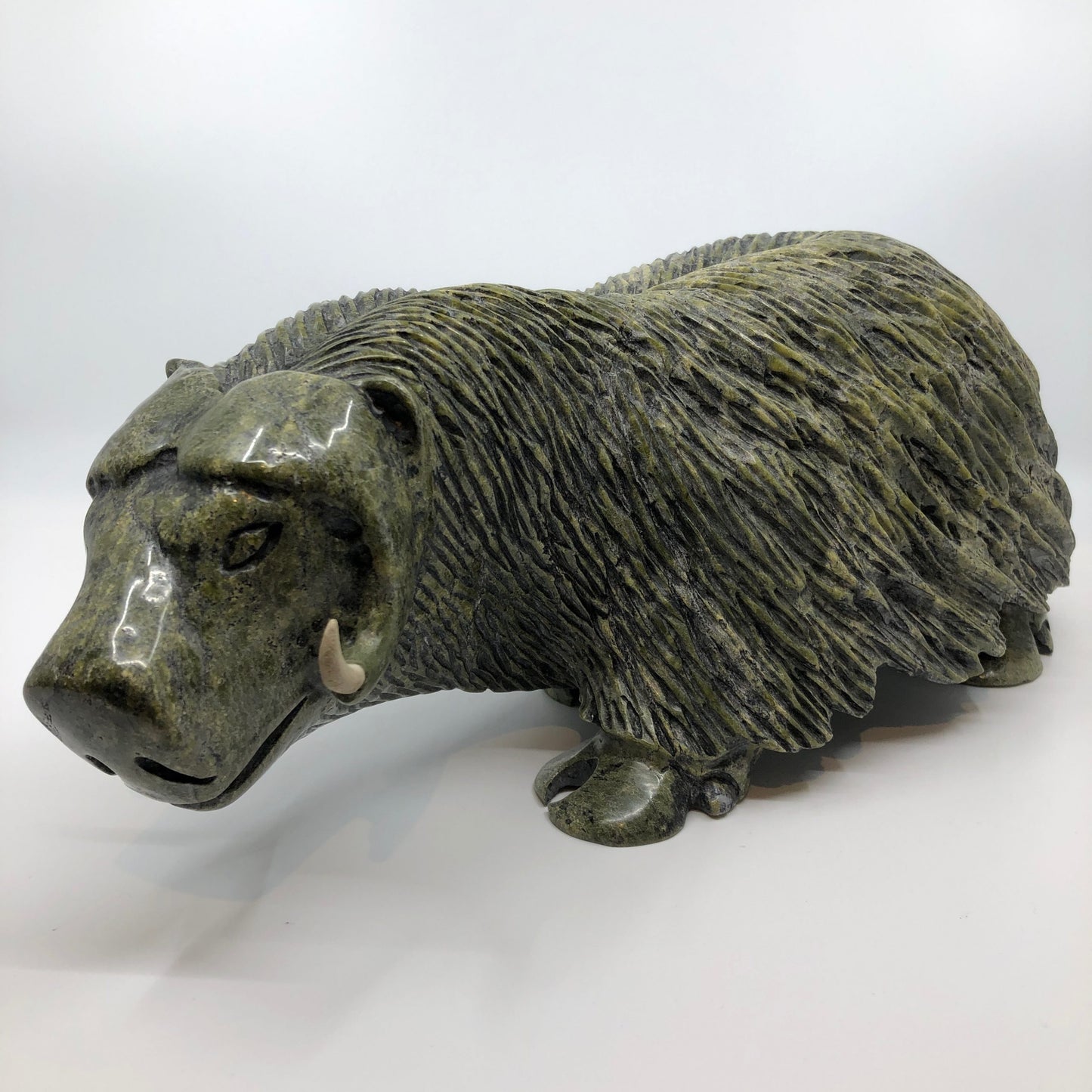 Musk Ox