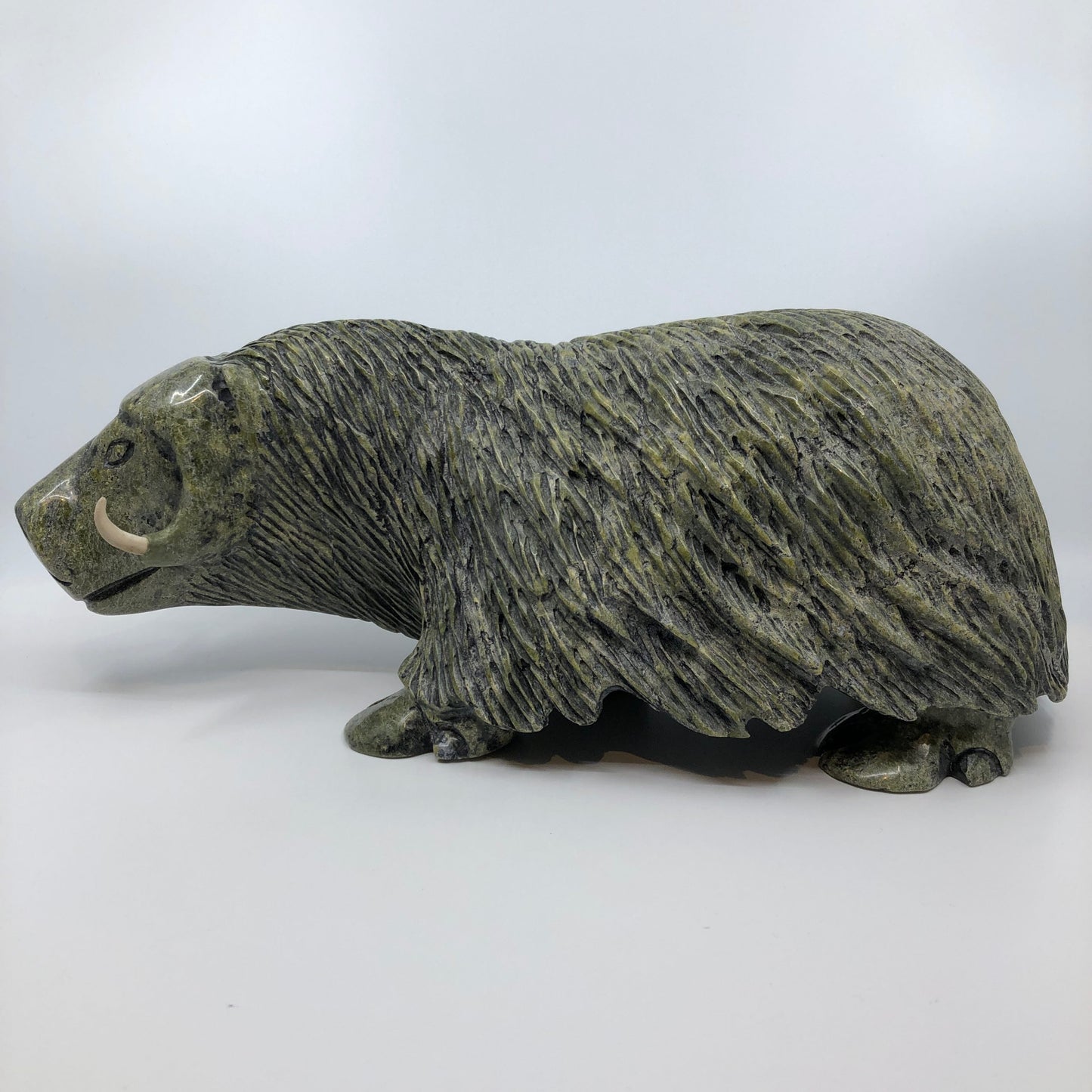 Musk Ox