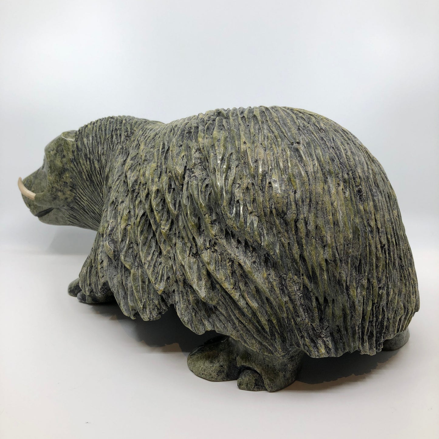 Musk Ox