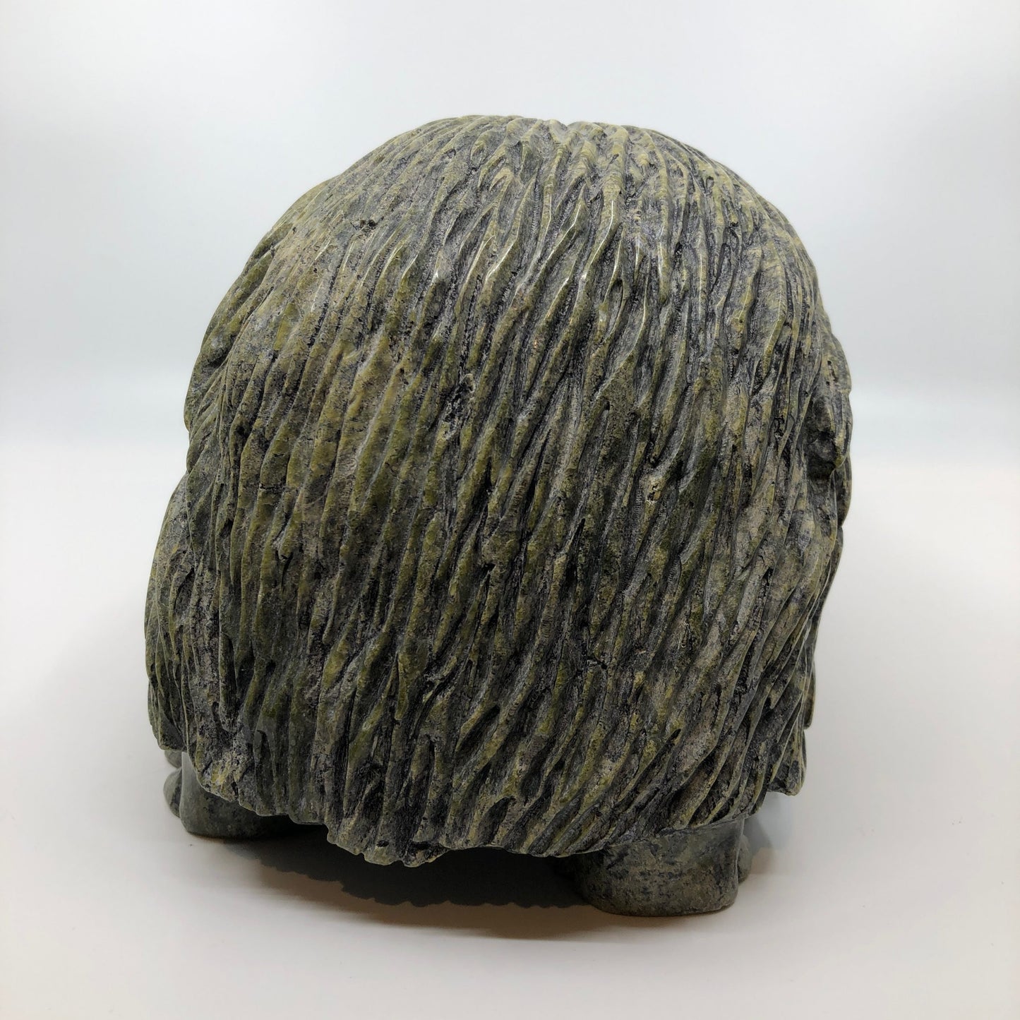 Musk Ox