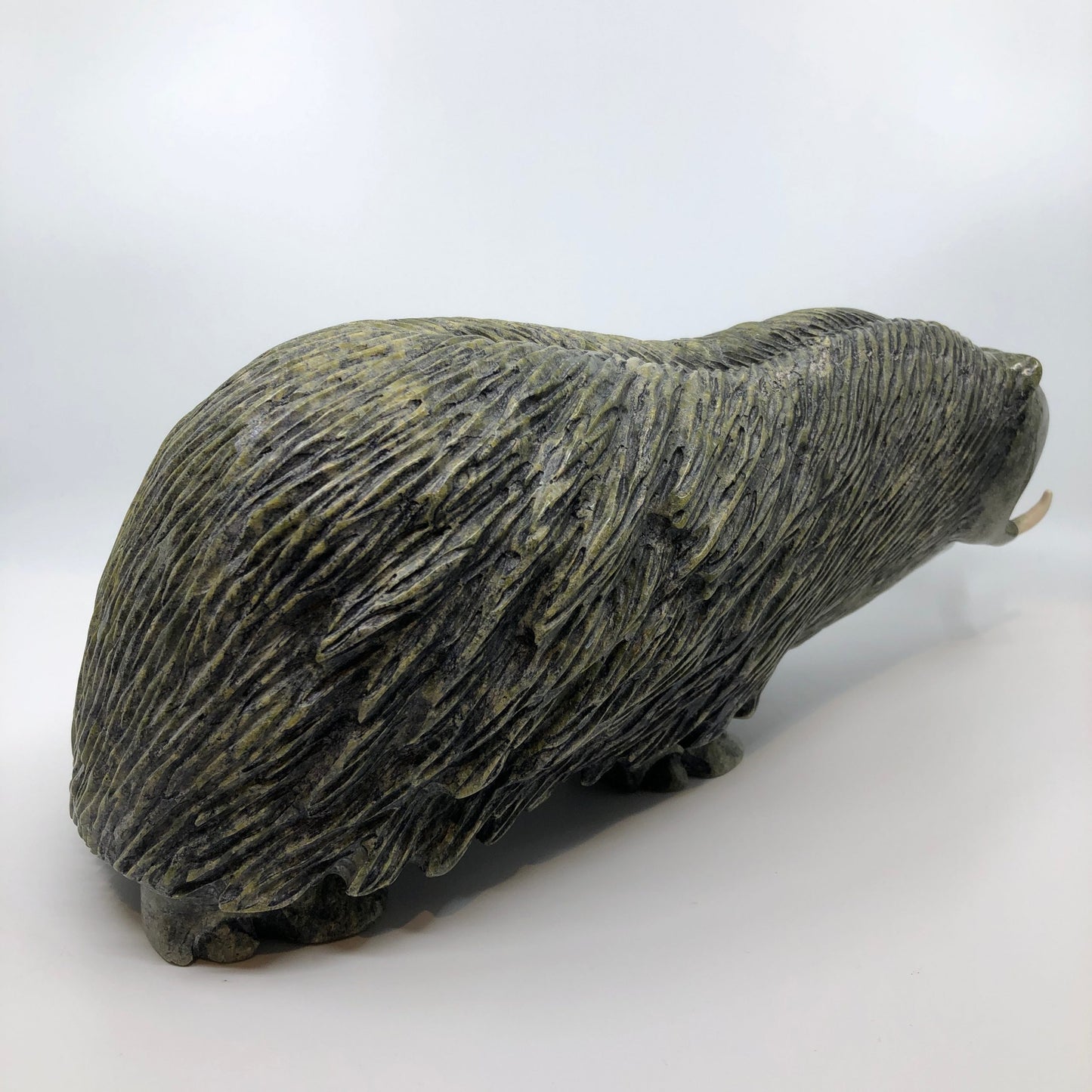Musk Ox