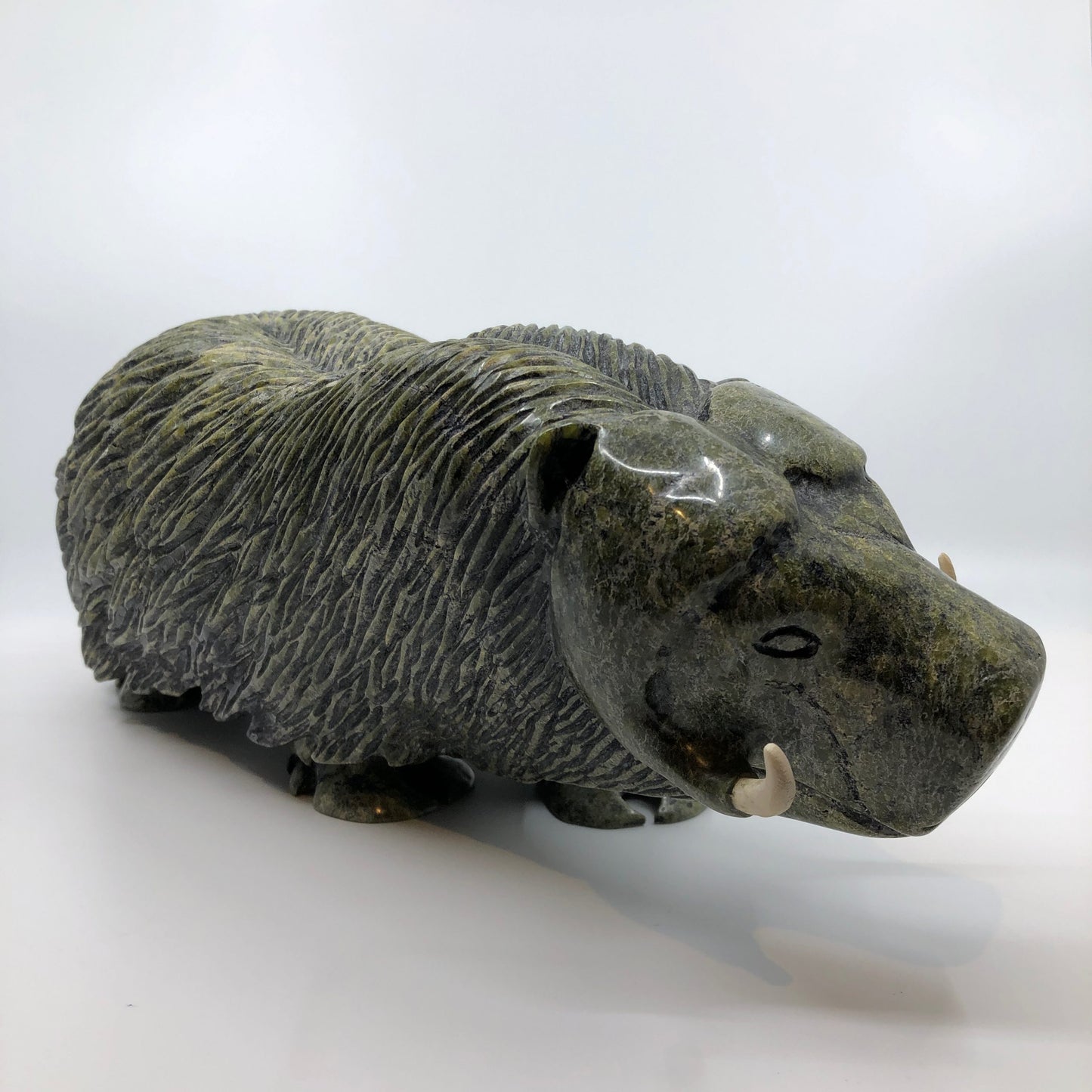 Musk Ox