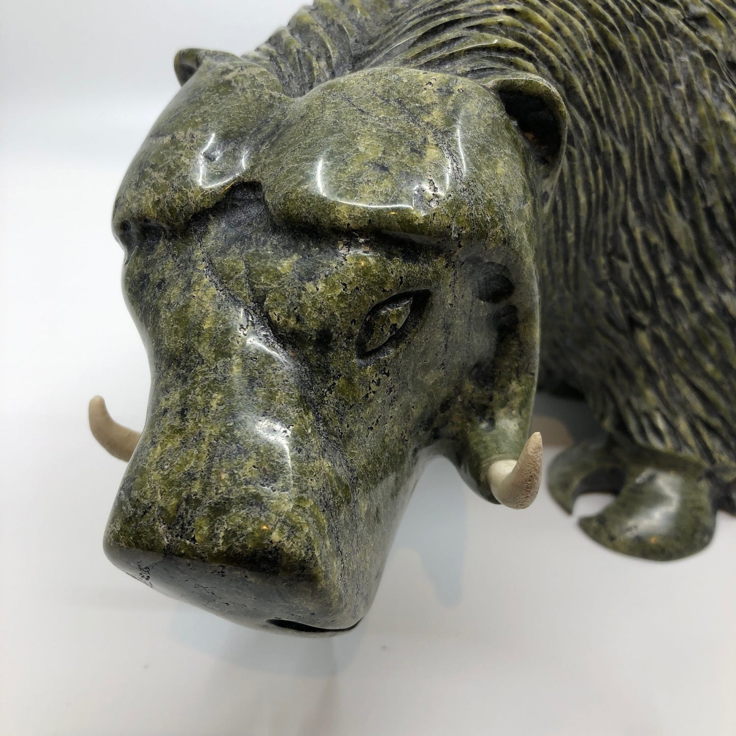 Musk Ox