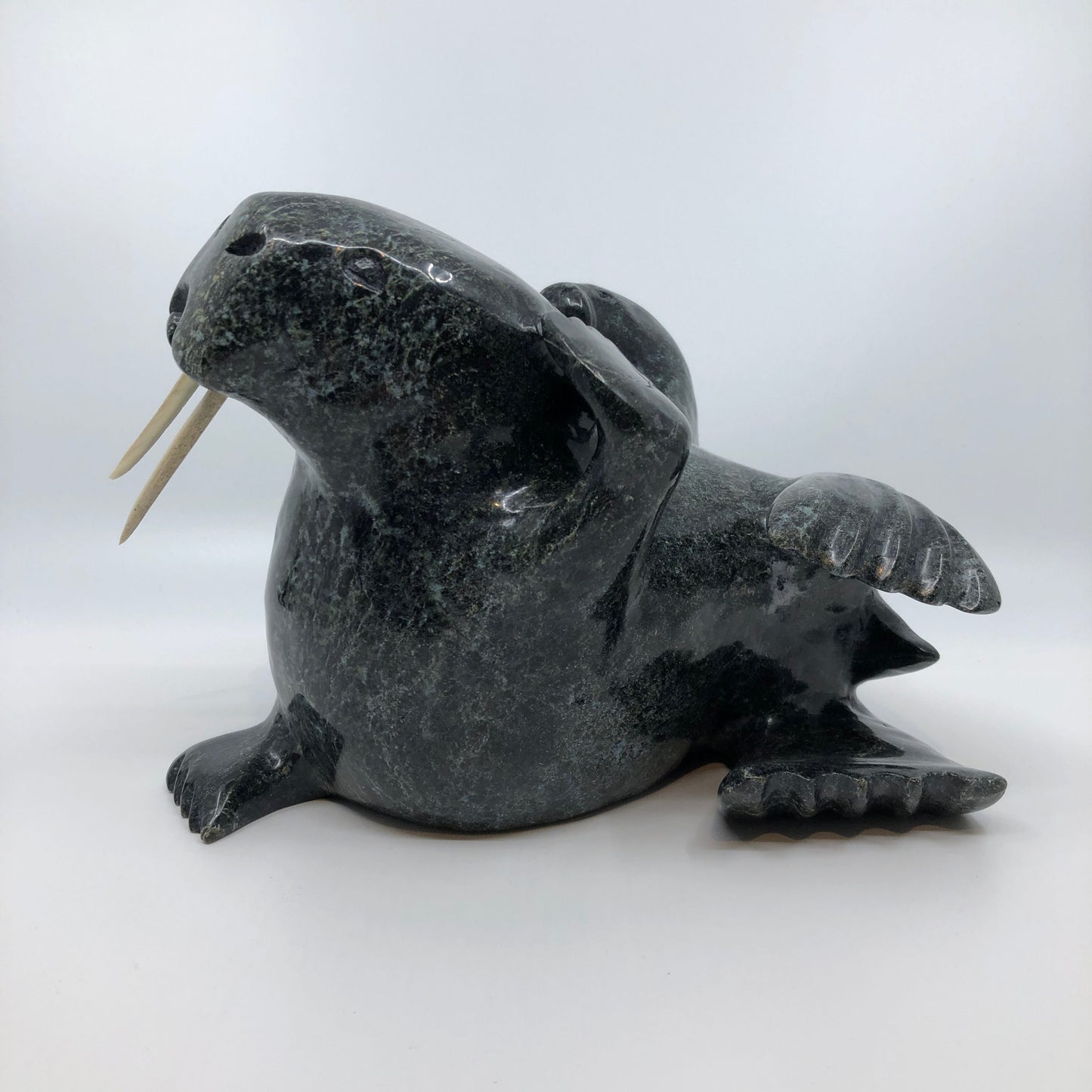 Walrus and Calf