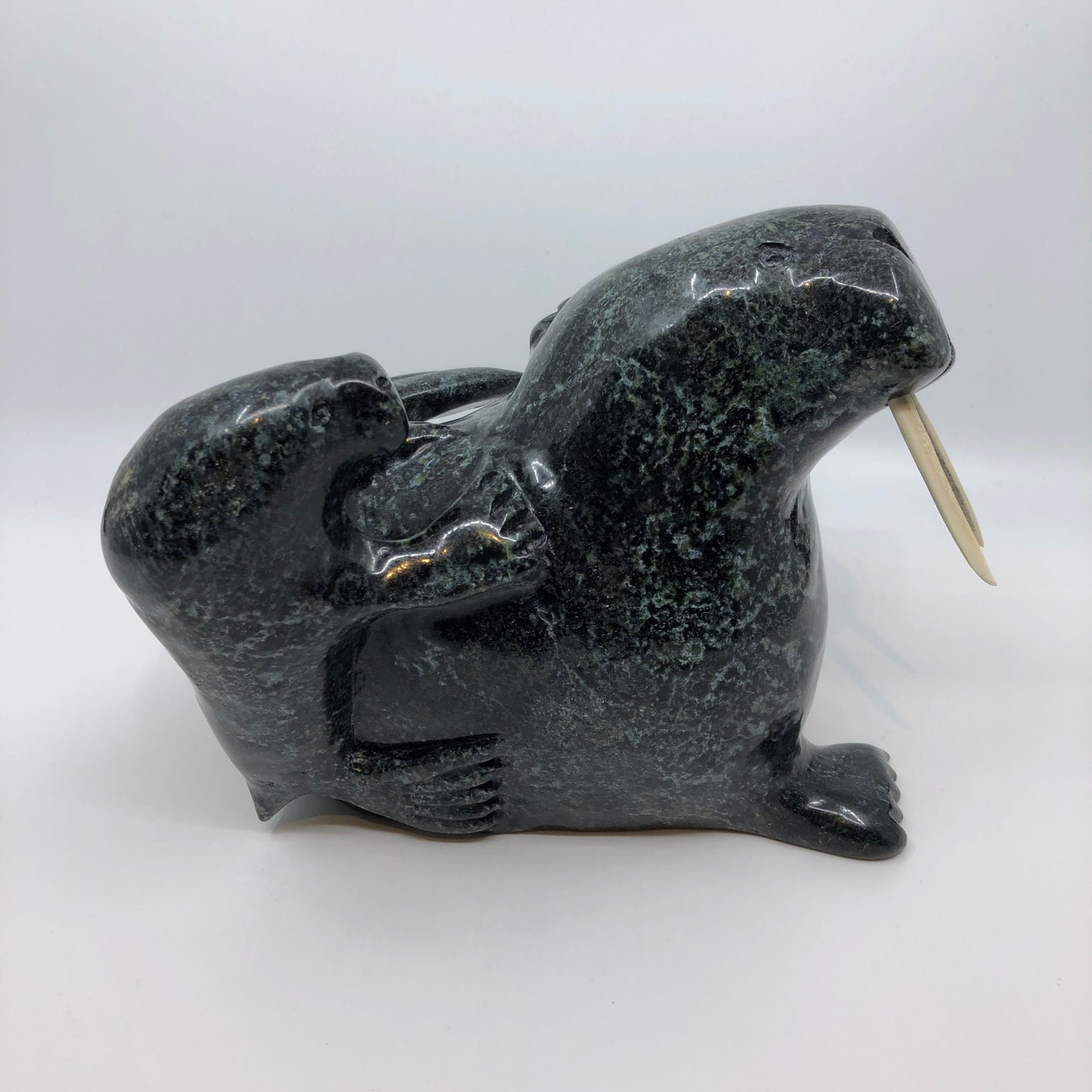 Walrus and Calf