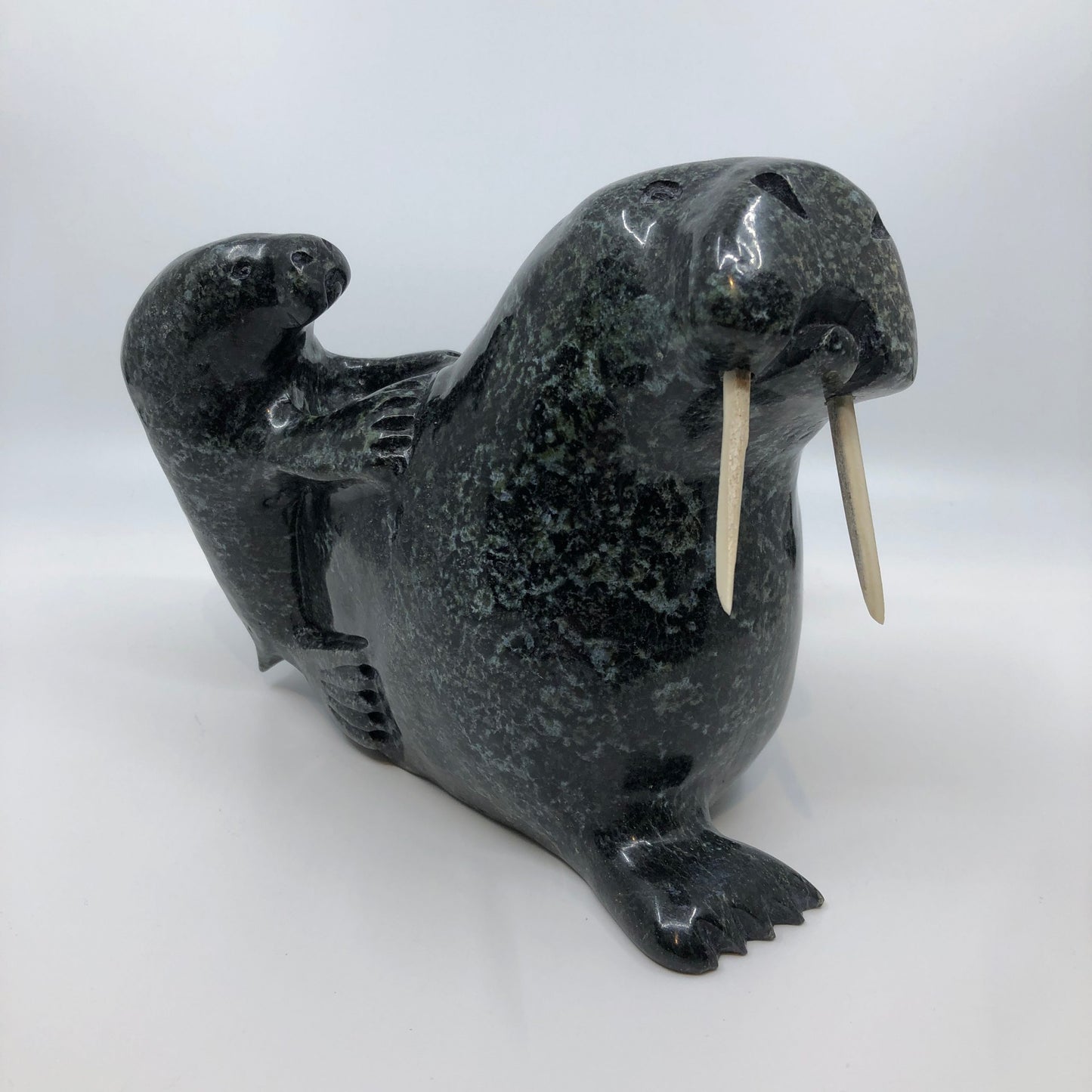 Walrus and Calf
