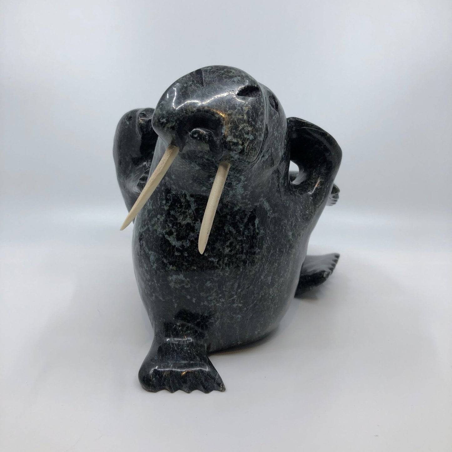 Walrus and Calf