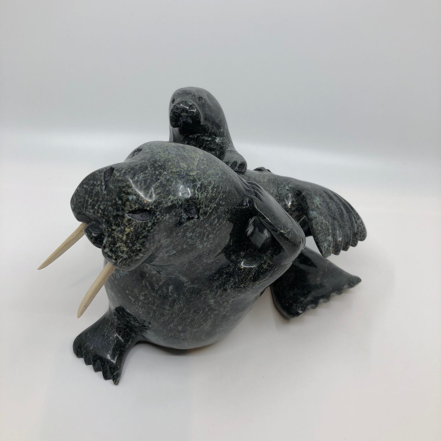 Walrus and Calf