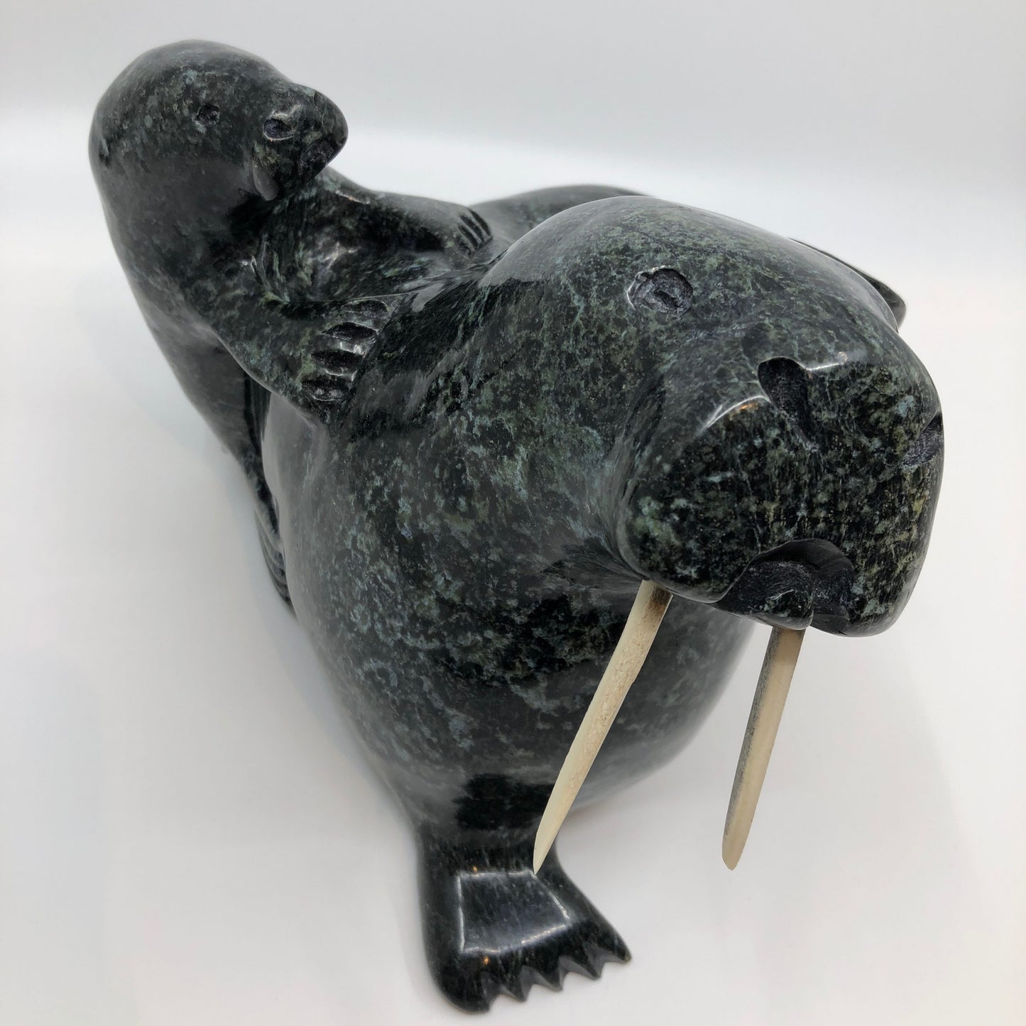 Walrus and Calf