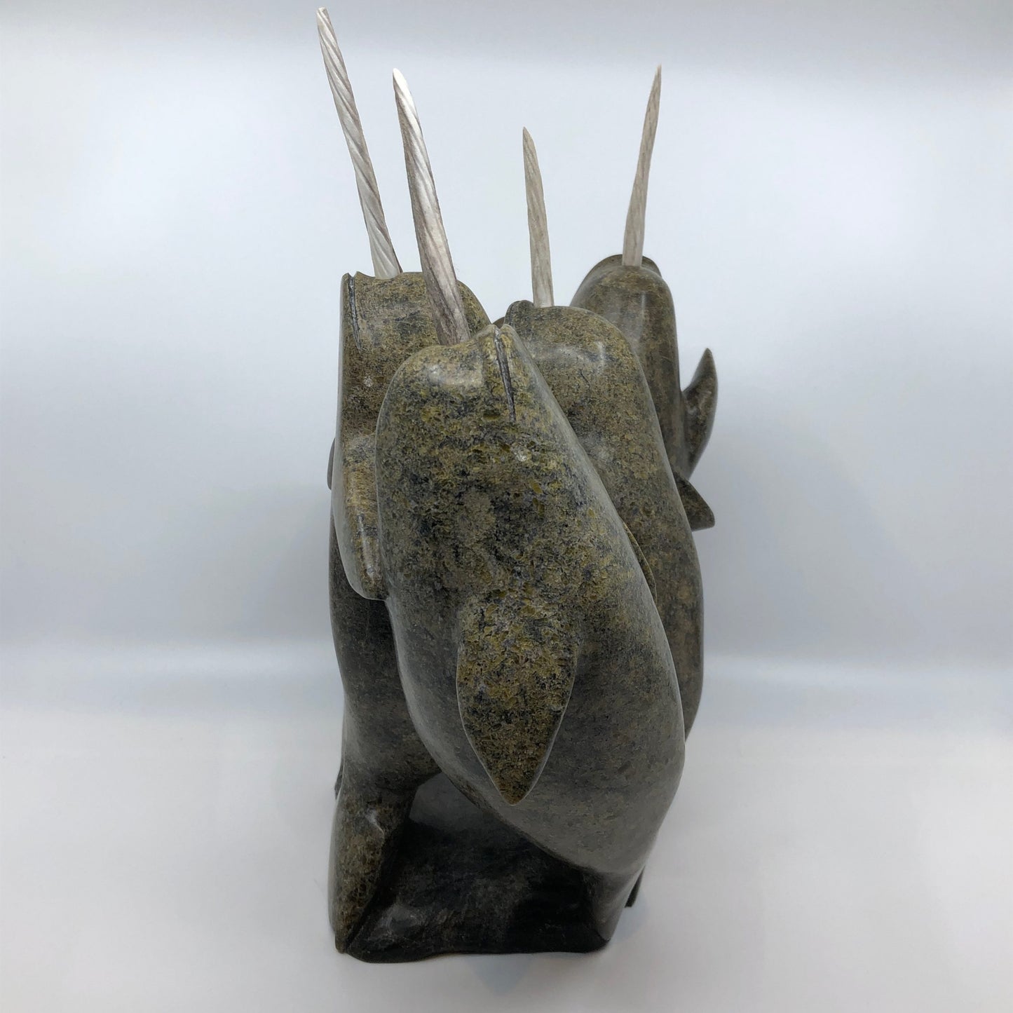 Narwhales