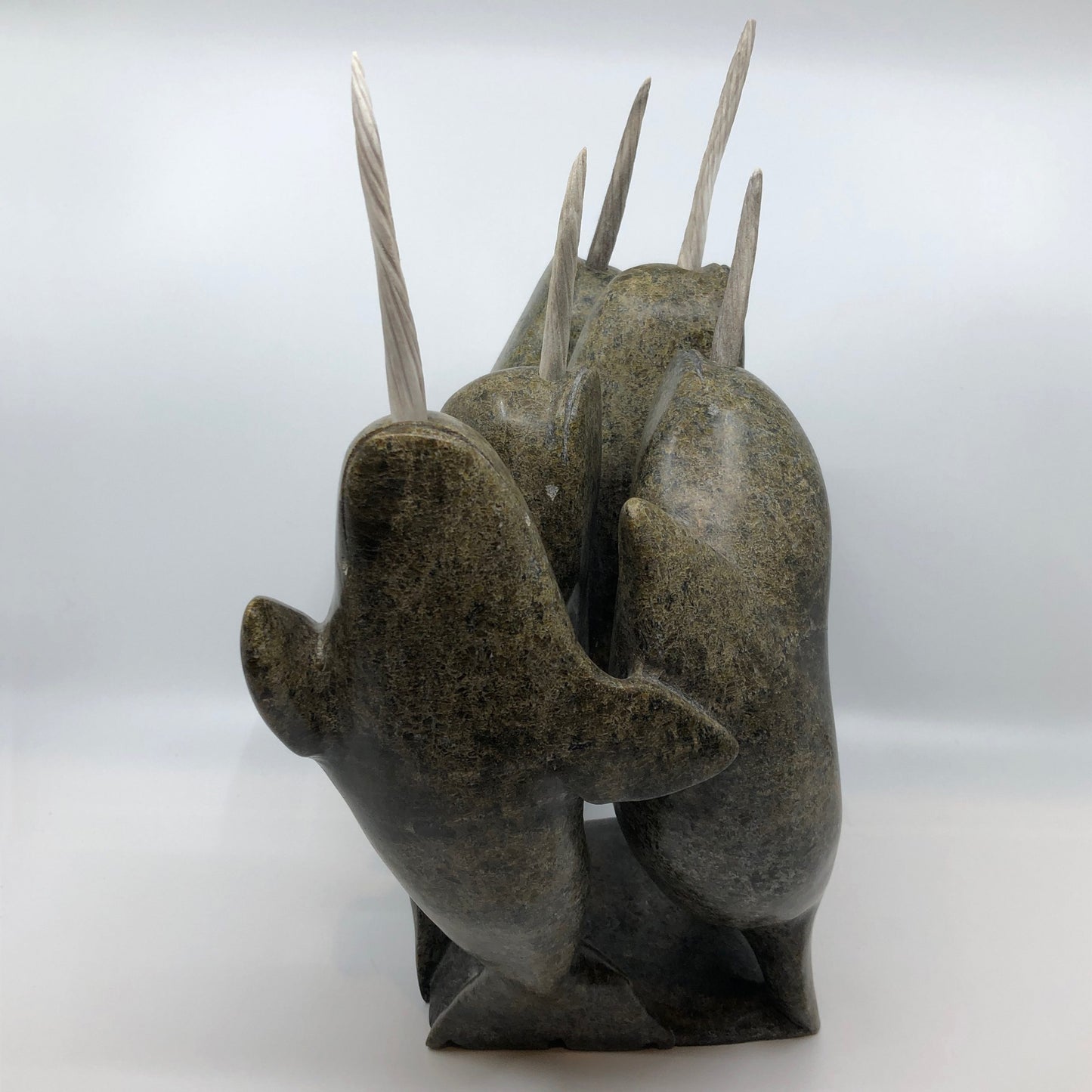 Narwhales
