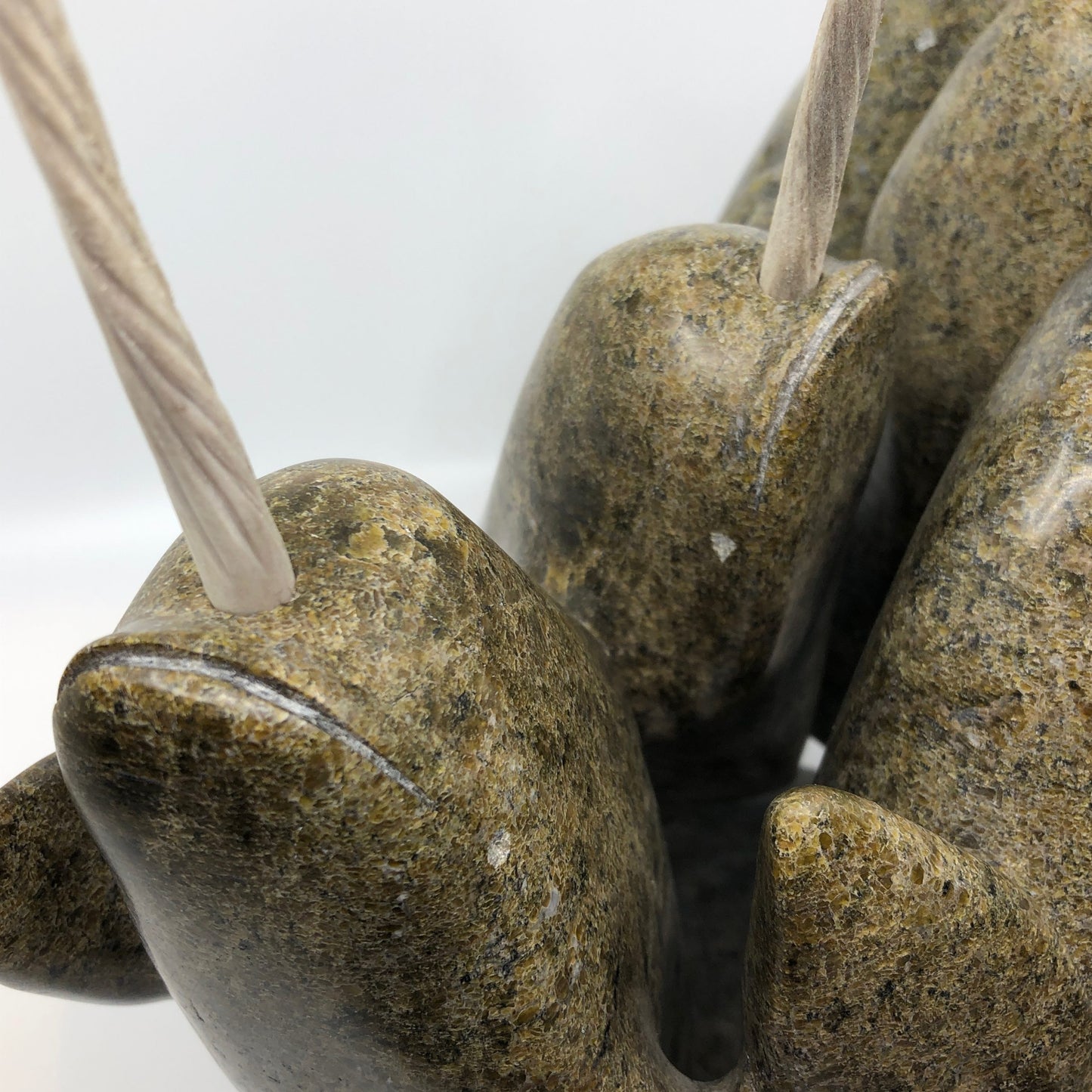 Narwhales