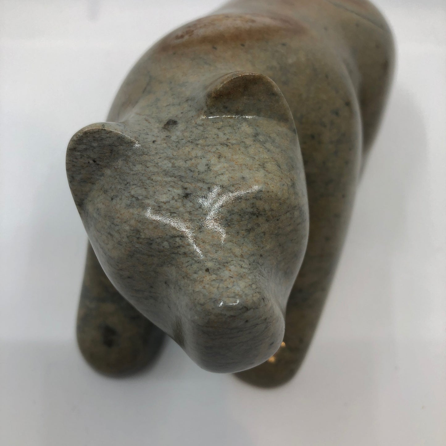 Walking Bear
