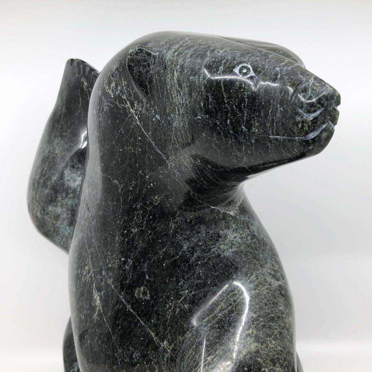Dancing Bear