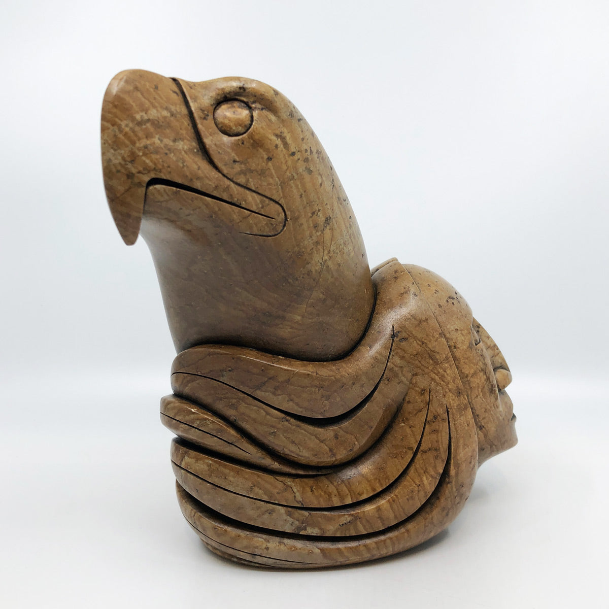 Eagle Protector