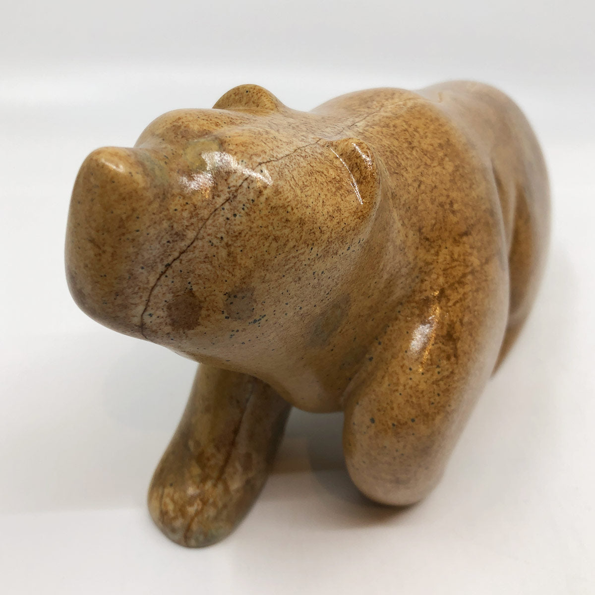 Walking Bear