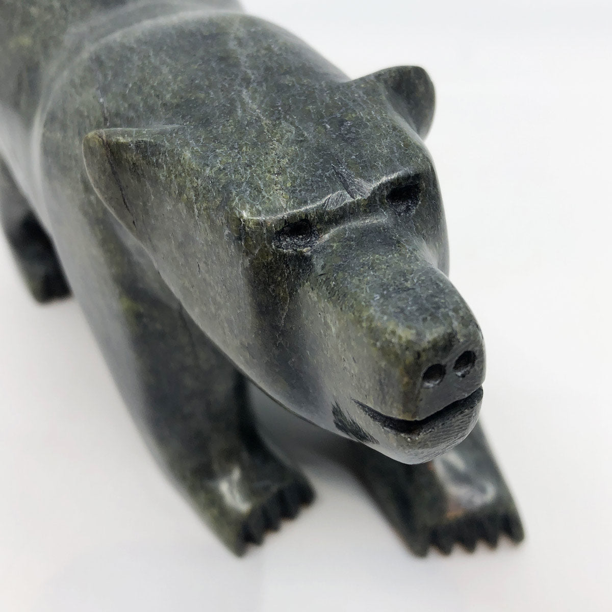 Walking Bear